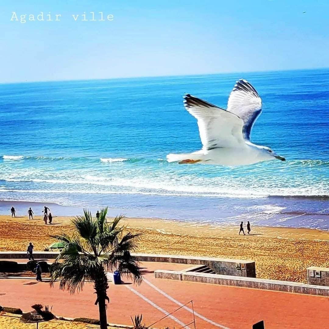 Appartement Deluxe Avec Piscine Privee Agadir Exterior photo